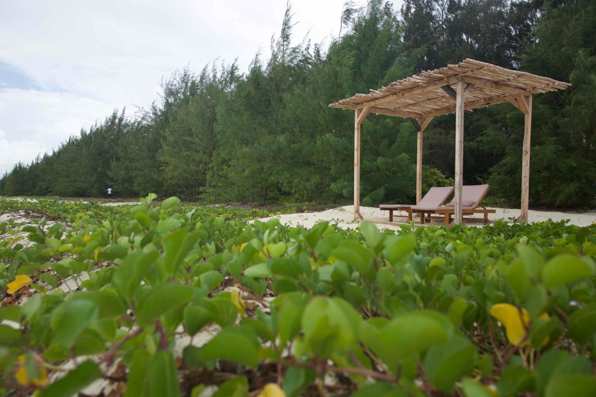Kivuli Beach Resort Paje Eksteriør billede